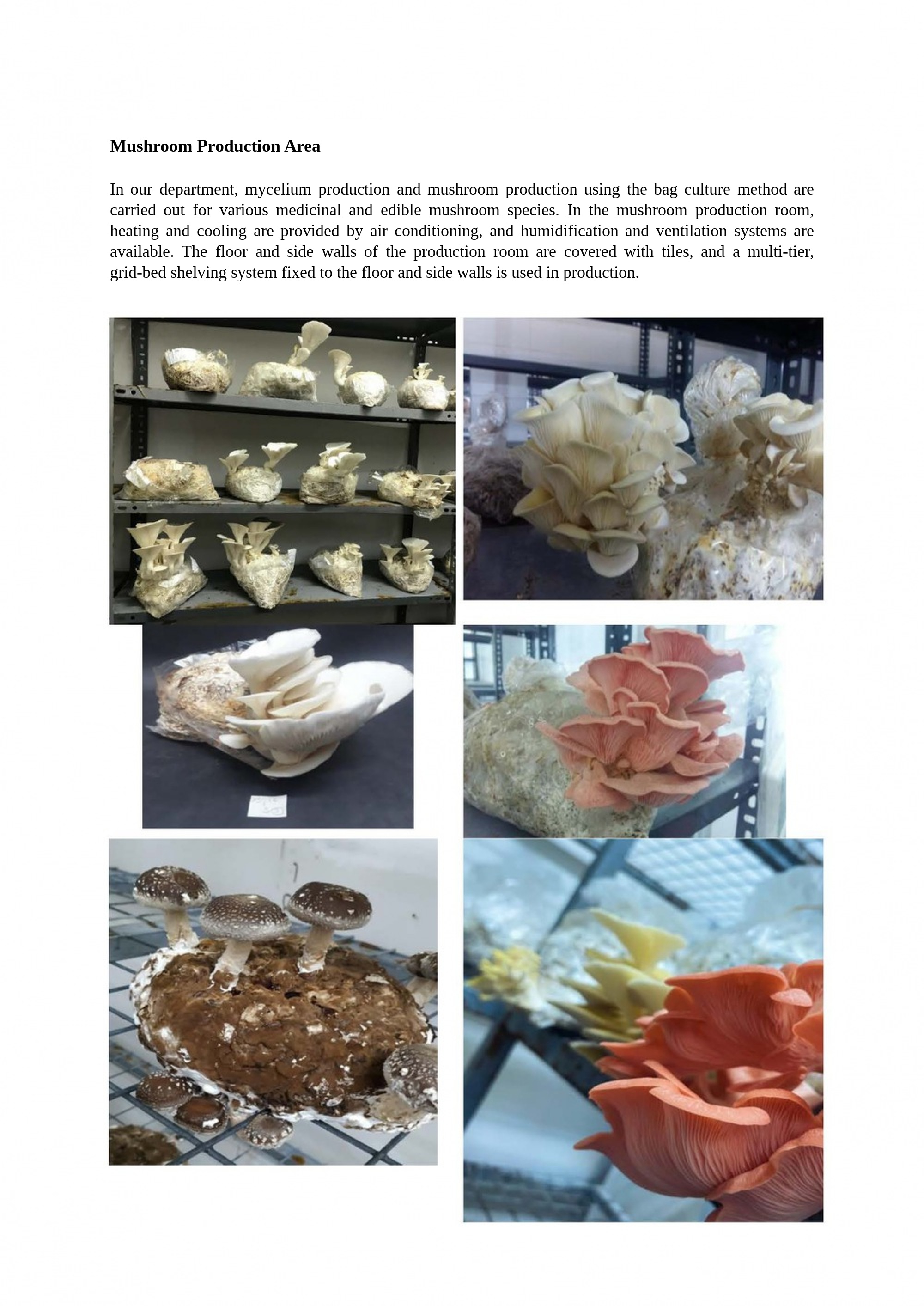 Mushroom_Production_Area_EN.jpg